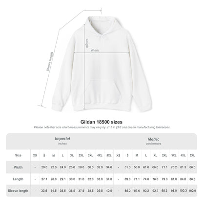 Butterfly Graphic Unisex Hoodie, Cozy Sweatshirt for Nature Lovers, Perfect Gift for Her, Birthday, Casual Wear, Spring Fashion