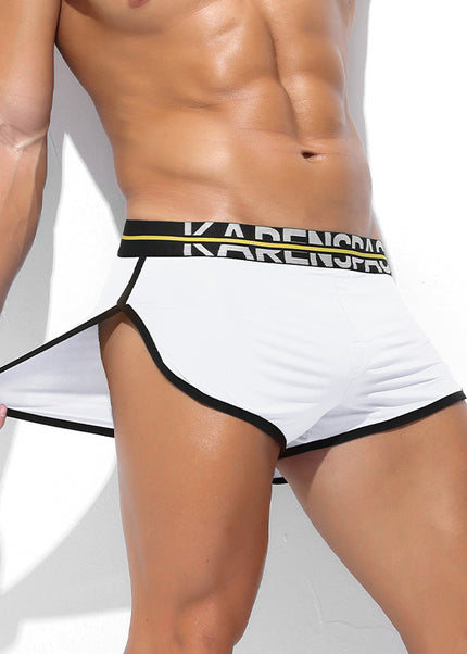 Collection image for: Boxer